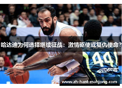 哈达迪为何选择继续征战：激情驱使或复仇使命？