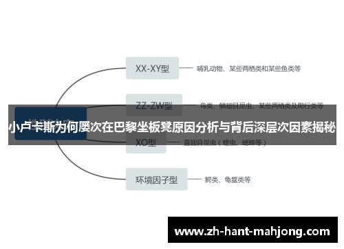 小卢卡斯为何屡次在巴黎坐板凳原因分析与背后深层次因素揭秘