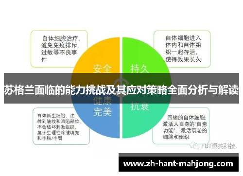 苏格兰面临的能力挑战及其应对策略全面分析与解读