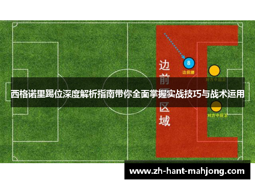 西格诺里踢位深度解析指南带你全面掌握实战技巧与战术运用