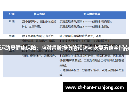 运动员健康保障：应对肾脏损伤的预防与恢复策略全指南