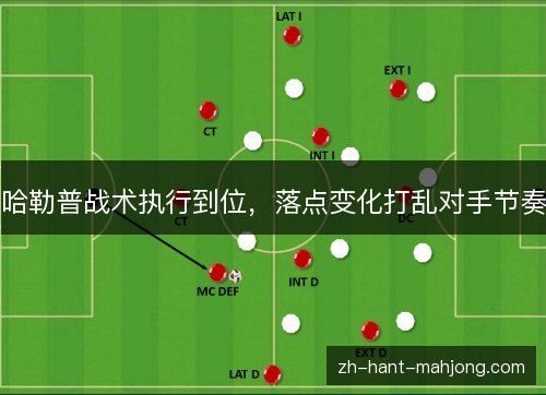 哈勒普战术执行到位，落点变化打乱对手节奏
